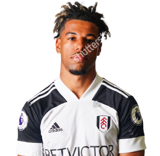 https://img.felixleech.com/img/football/player/0aa98cec6049b1ced7e1ce4c2cfe6b01.png