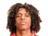 https://img.felixleech.com/img/football/player/135ad8787fd13961a93e165e79e736ff.png