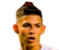 https://img.felixleech.com/img/football/player/256dcd3c814bd8fea3fab644d67a539f.png